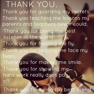 Meet your Posher, Anne